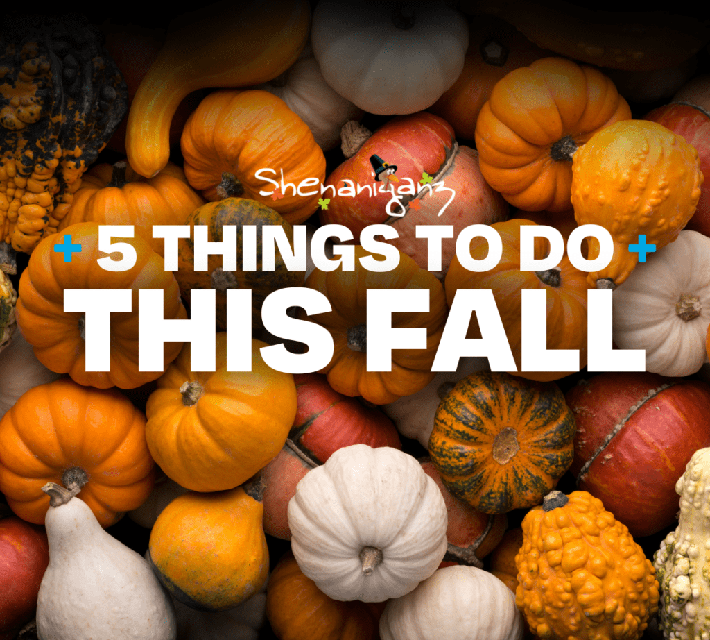 5 Things To Do This Fall!