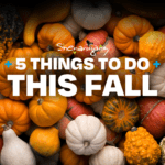 5 Things To Do This Fall!