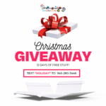 Shenaniganz 12 Days of Christmas Giveaway!